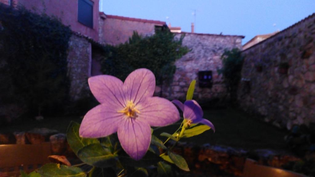 La Casa De La Abuela Petra Affittacamere Solarana Esterno foto